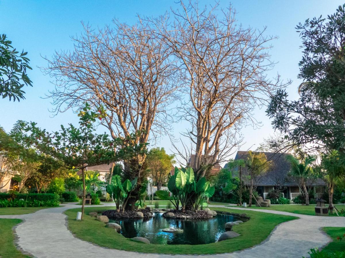 Sudamala Resort, Komodo, Labuan Bajo Eksteriør bilde The twin trees at the centre of the resort